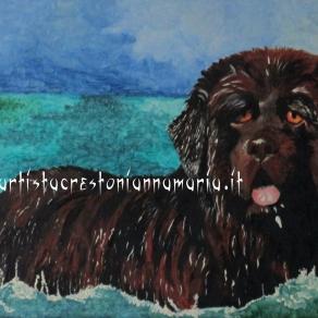 Cane Terranova Olio su Tela 70 x 50 - Tecnica Pennello -anno 2012 