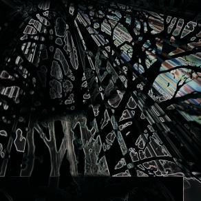 Fotogramma dall'invisibile 