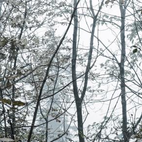 Time to cry, time to reborn 