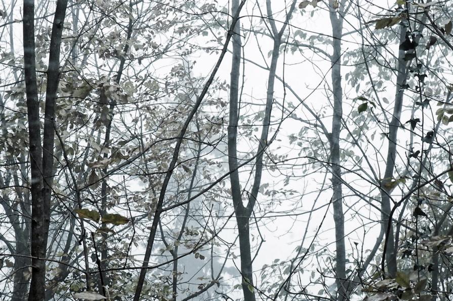 Time to cry, time to reborn 