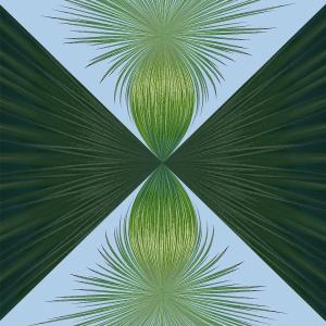 07-Agave