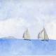 La regata n.2