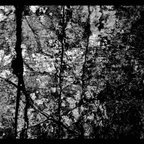 Ciclo: i segni sulla pietra.