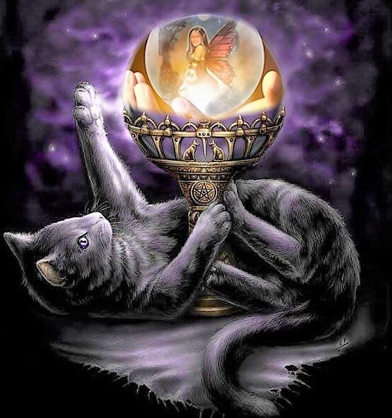 Nella speranza che io possa ancora trovare !!!