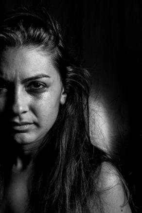 Bull, bee and butterfly