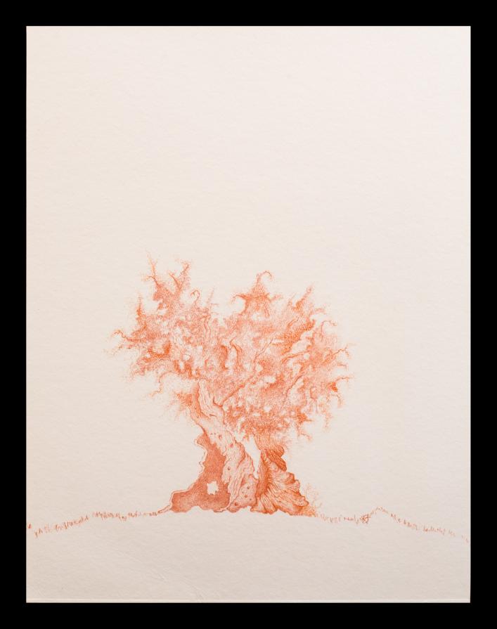 a U L I V O o f R 7 ®