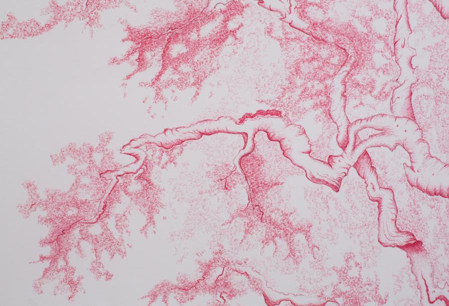 a U L I V O o f R 7 ®