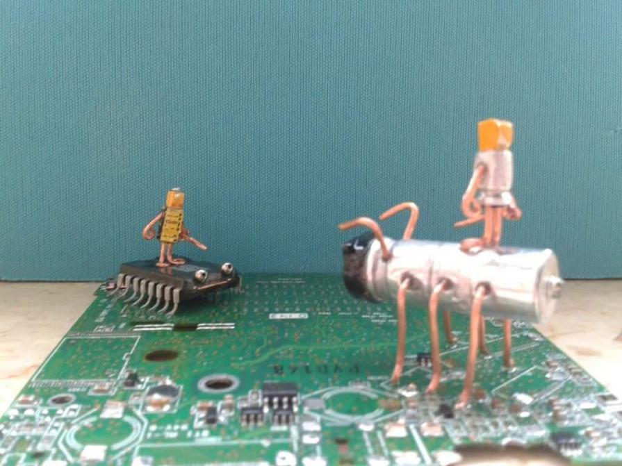 Lotta per la sopravvivenza