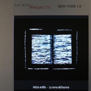 Letizia Ardillo- La cerva dell'aurora-