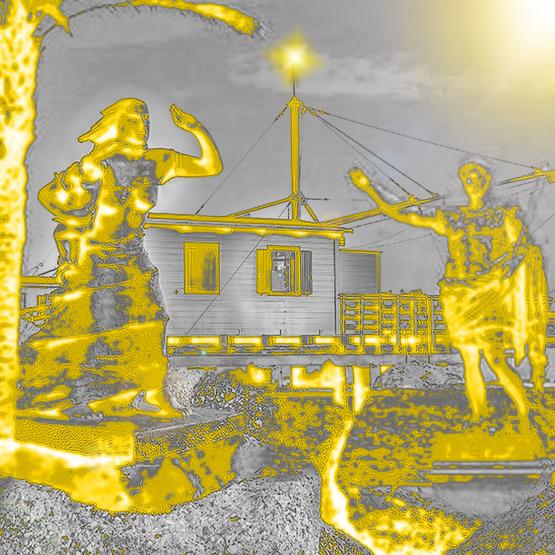 Eri una foglia che non sapeva di essere parte di un albero...!!!