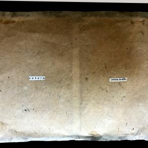 Letizia Ardillo-Sahara Letizia Ardillo-Sahara