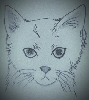 Matita e fantasia 127