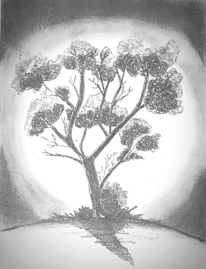 La bellezza di un albero sta nei suoi rami ...ma la sua forza sta nelle sue radici ...