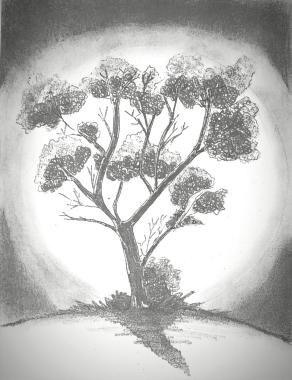 La bellezza di un albero sta nei suoi rami ...ma la sua forza sta nelle sue radici ...