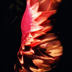 #seemetakeover TIMES SQUARE