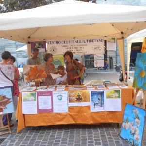 festa del volontariato a cremona