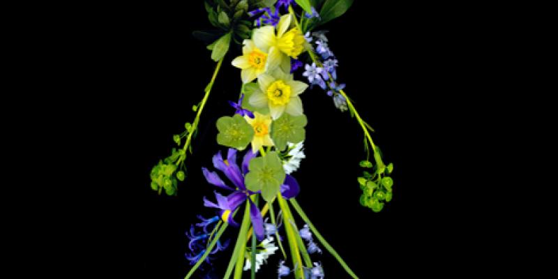 Hemispheres Hemispheres