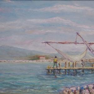 Luci e Colori di PISA