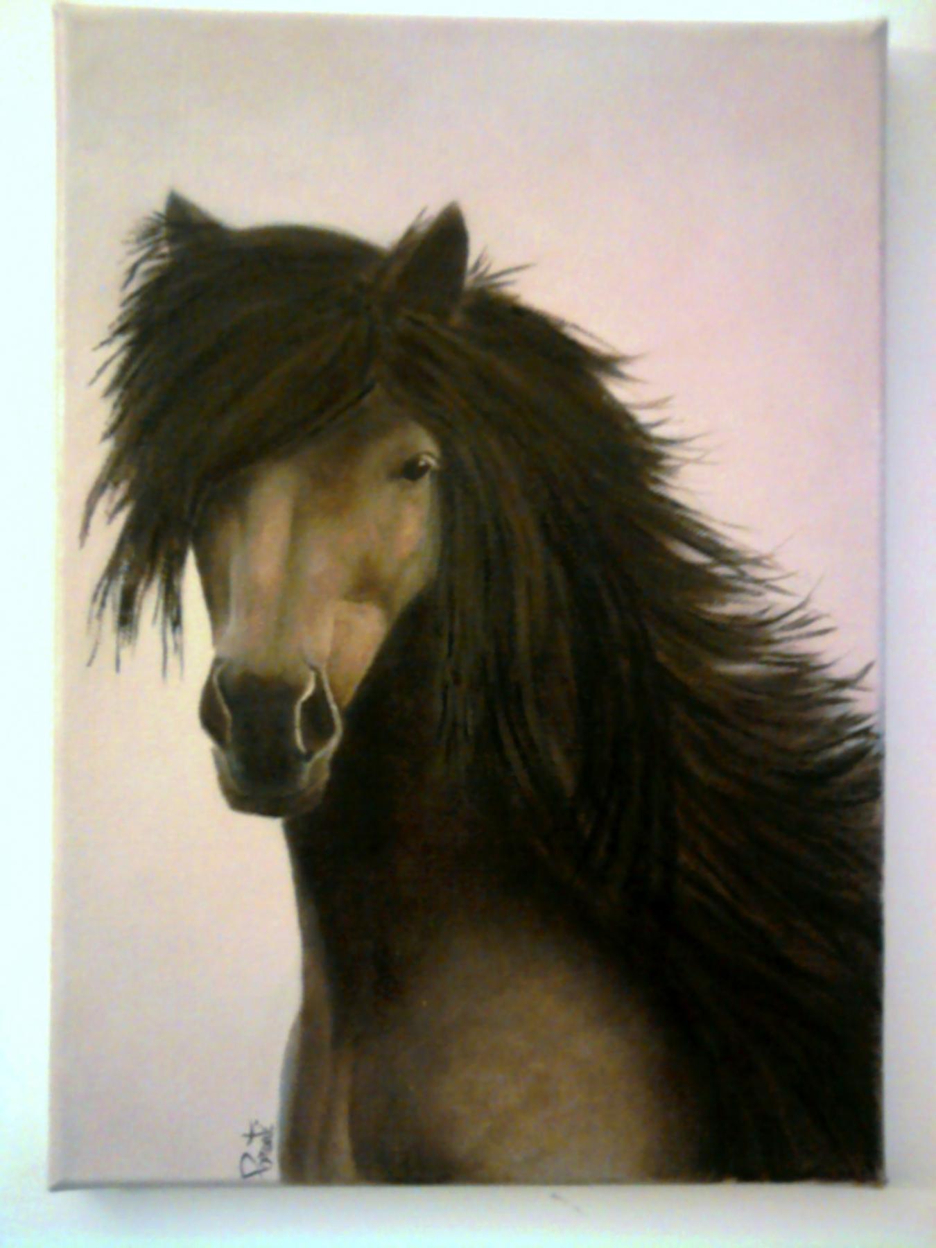 PROSSIME MOSTRE 2015