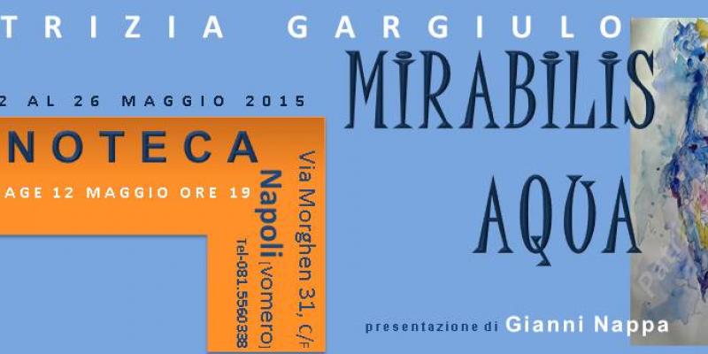 MIRABILIS AQUA MIRABILIS AQUA