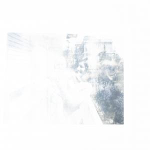 A Sky Full Of Stars For A Roof