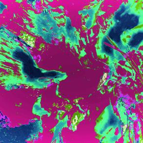 Assorbitore di Realtà