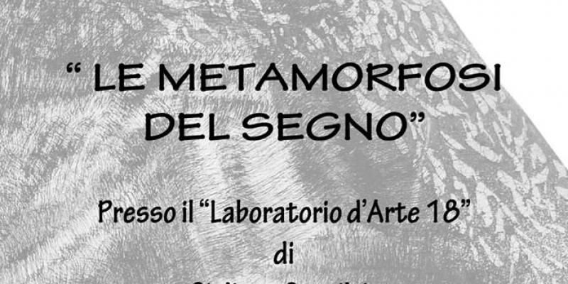 LE METAMORFOSI DEL SEGNO LE METAMORFOSI DEL SEGNO