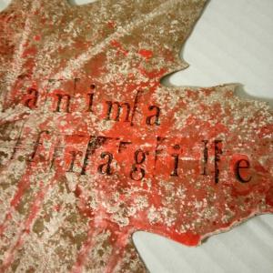 QUANDO UN PENSIERO DIVENTA ARTE QUANDO UN PENSIERO DIVENTA ARTE