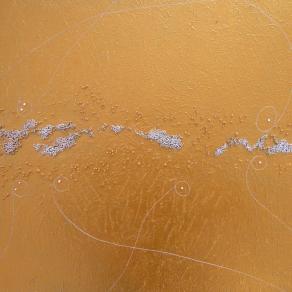 Fase REM (elaborazione dei sogni)