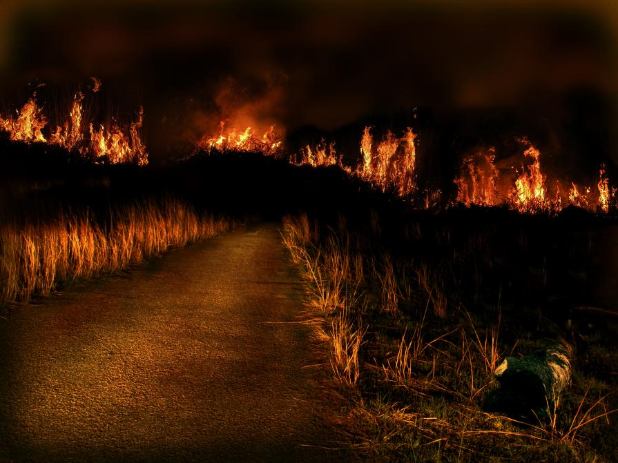 Line of Fire Line of Fire