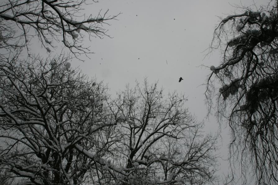 battiti_07 battiti_07