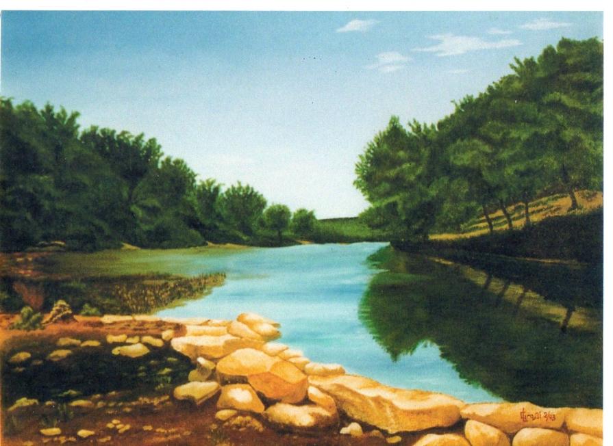 LG 0137 - Un'ansa del fiume Guadalupe - U.S.A.