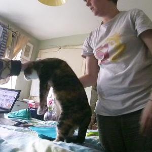 Famiglia Sgatti & Squilloni - Nessuno Viene Dimenticato Famiglia Sgatti & Squilloni - Nessuno Viene Dimenticato