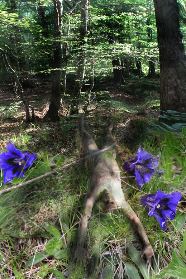 torniamo tutti nella natura. il denaro lo lasciamo qui'.