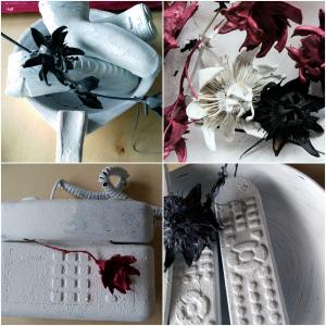 passaflora passaflora