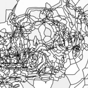 Ogni giorno si perpetua una nuova Shoah 