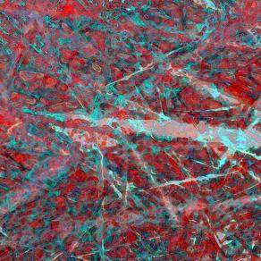 Prigione - Creazione