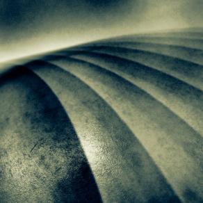 Volando sul pianeta di un'altra vita    ( Flying on the planet of another life ) 