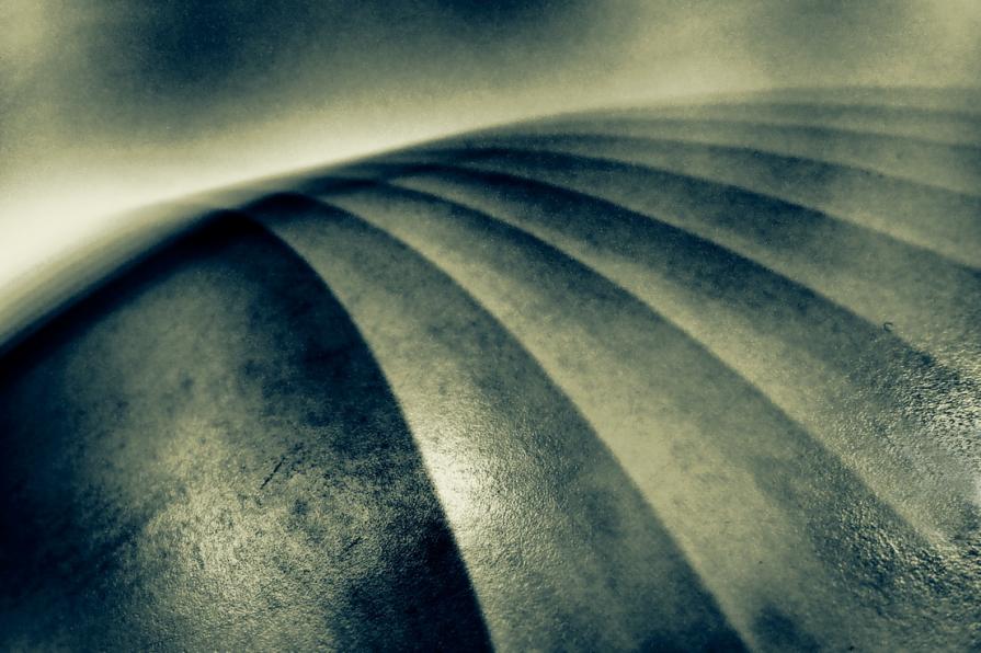 Volando sul pianeta di un'altra vita    ( Flying on the planet of another life ) 