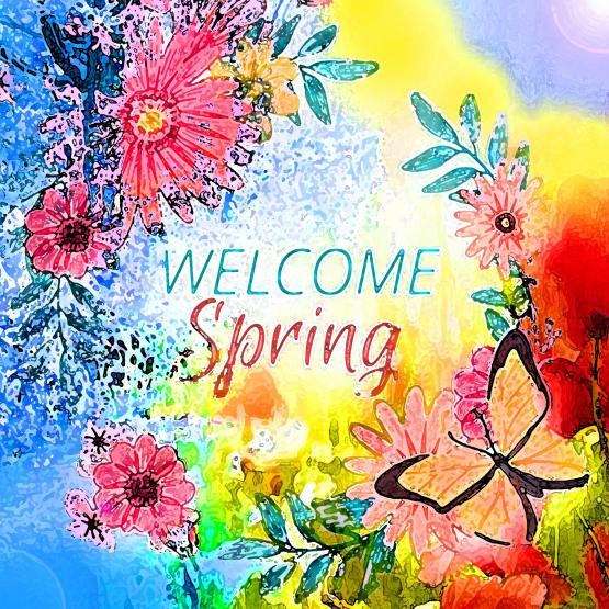 I fiori della primavera sono i sogni dell’inverno raccontati, la mattina, al tavolo degli angeli...!!!