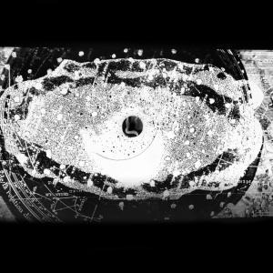 Letizia Ardillo Permutazioni