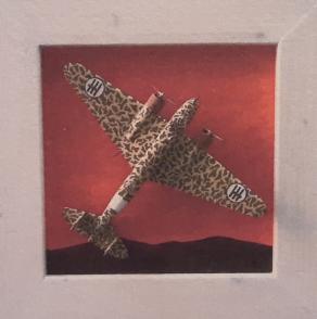 Fiat B.R. 20 " Cicogna "  - 1939