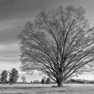 Nutrire l'anima -  Exposizione 2015 16 maggio  / 6 giugno - galleria Castellano Arte Contemporanea