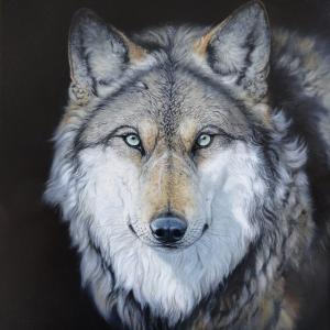 ANIMALS ART al Club La Meridiana di Modena