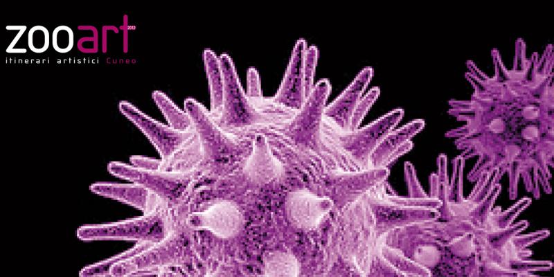 ZOOart 2012 opening ZOOart 2012 opening