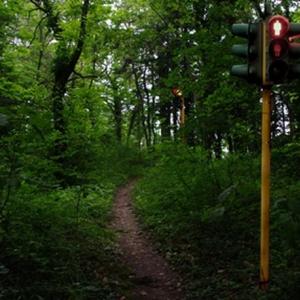 Naturacultura - madre terra Naturacultura - madre terra