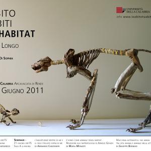 Io abito Tu abiti Egli habitat | Giovanni Longo