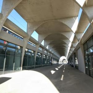 "PARATISSIMA 2013" "PARATISSIMA 2013"