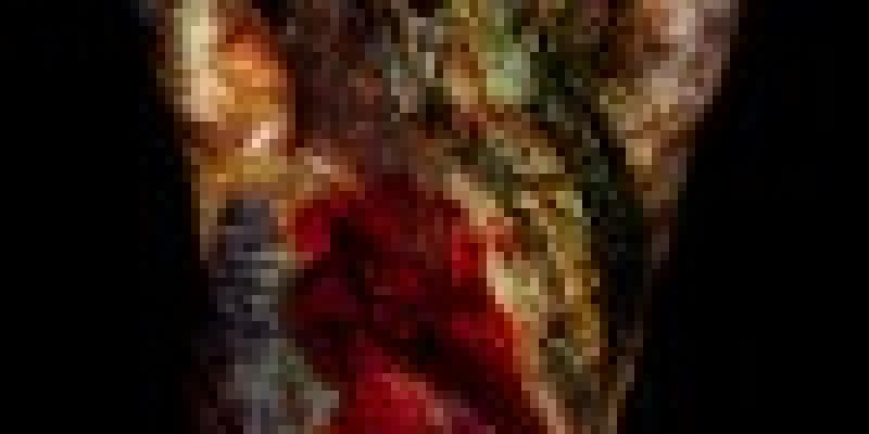 SOLVE ET COAGULA  [Davide Barabino: Art and Archetype]