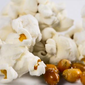 MACRO&STILL LIFE MACRO&STILL LIFE